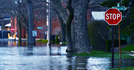 11_23_22_1462453821_ftp_560x292_3.jpg 11_23_22_1462453821_ftp_560x292_3.jpg