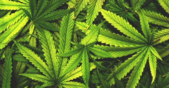 05_05_23_348038528_ftp_560x292_2.jpg 05_05_23_348038528_ftp_560x292_2.jpg