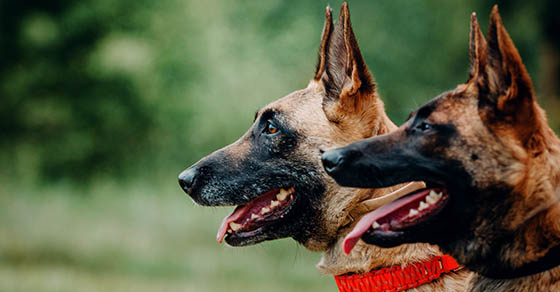 08_28_24_2201172239_ftp_560x292_2.jpg 08_28_24_2201172239_ftp_560x292_2.jpg