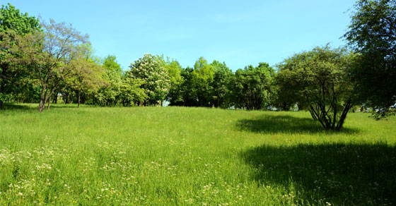 10_11_24_2306020885_ftp_560x292_1.jpg 10_11_24_2306020885_ftp_560x292_1.jpg