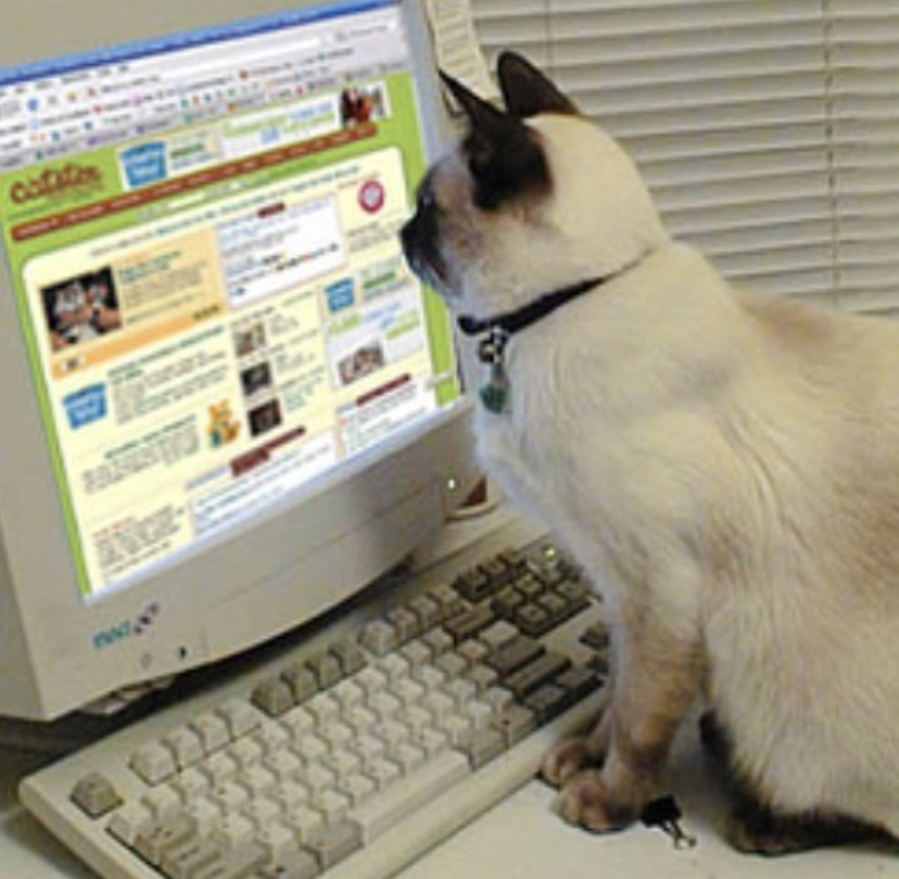 img_2879.jpg img_2879.jpg