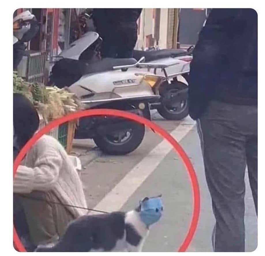 image0_(2).jpeg image0_(2).jpeg